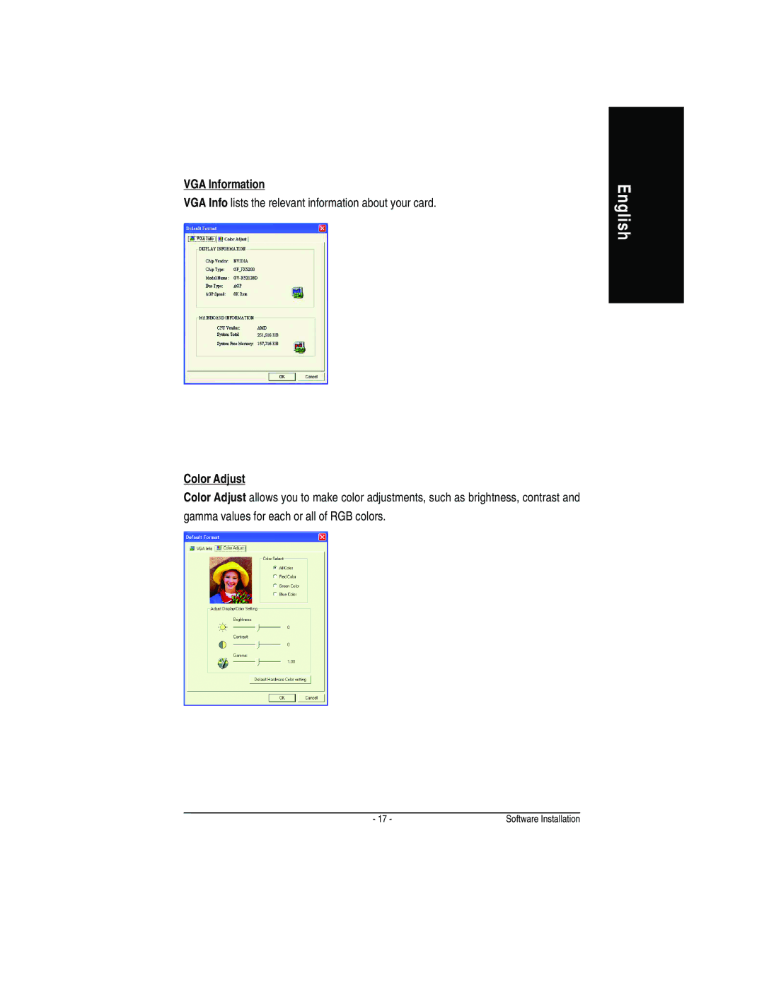 Gigabyte GV-N52128D user manual VGA Information, VGA Info lists the relevant information about your card, Color Adjust 