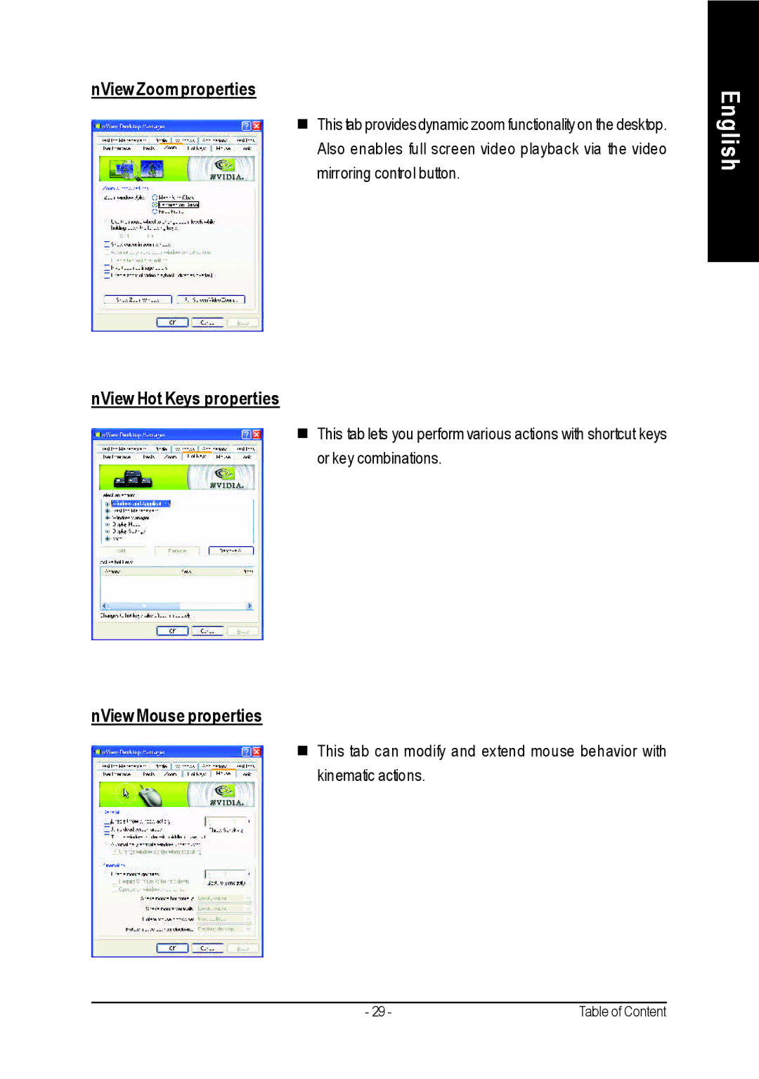 Gigabyte GV-N57256DE, GV-N57256V, GV-N57128DE NView Zoom properties, NView Hot Keys properties, NView Mouse properties 