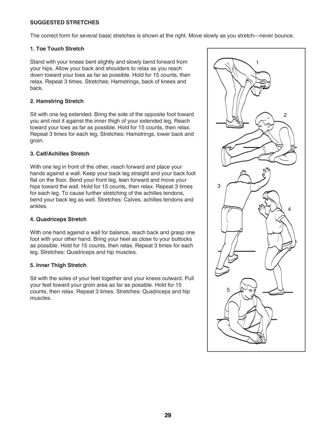 Gold's Gym CWTL05607 Suggested Stretches, Toe Touch Stretch, Hamstring Stretch, Calf/Achilles Stretch, Quadriceps Stretch 