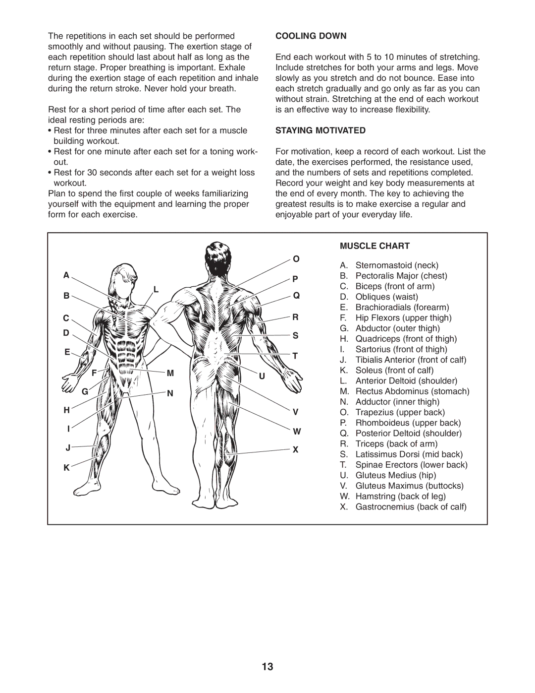 Gold's Gym GGBE1067.0 manual Cooling Down, Staying Motivated, Muscle Chart 