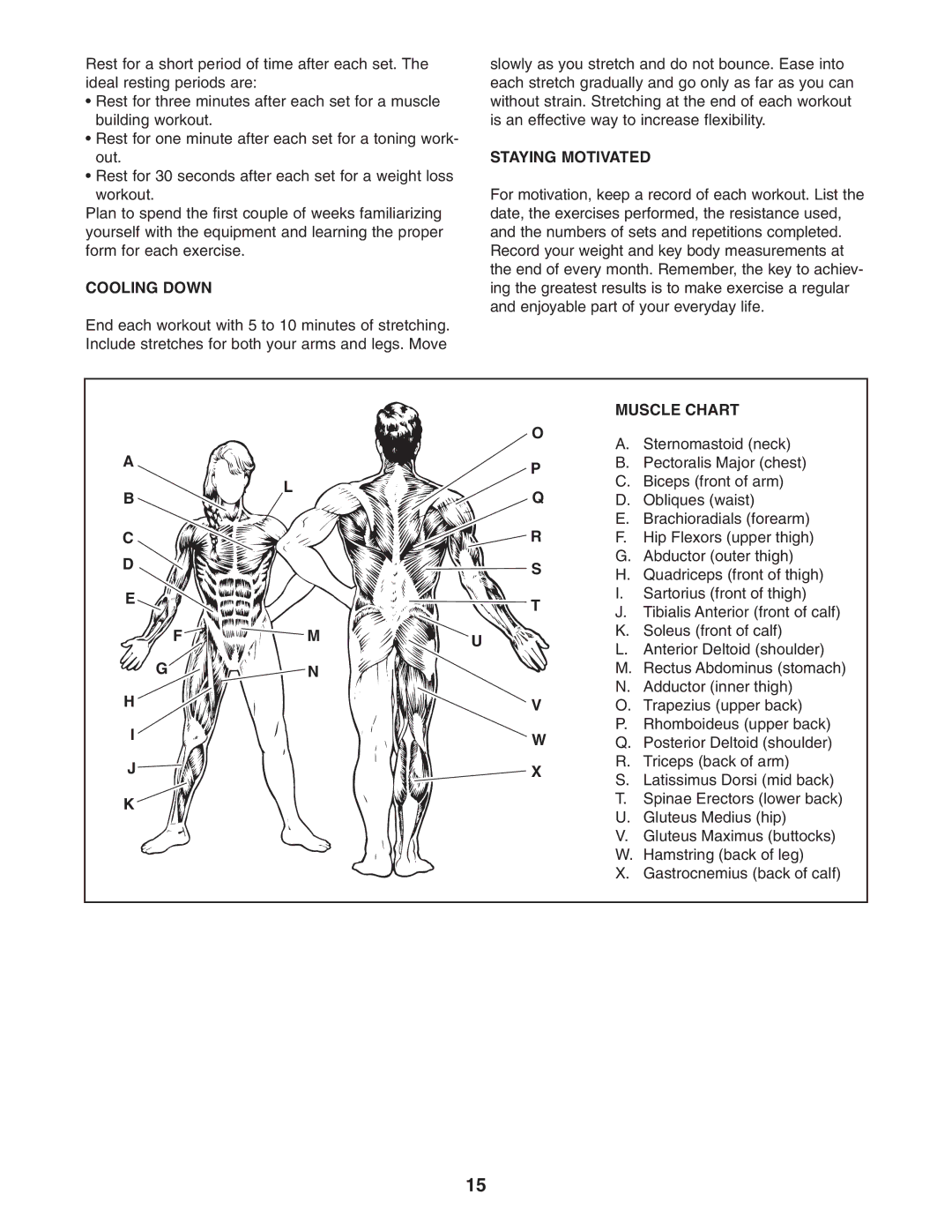 Gold's Gym GGBE1774.0 manual Cooling Down, Staying Motivated, Muscle Chart 