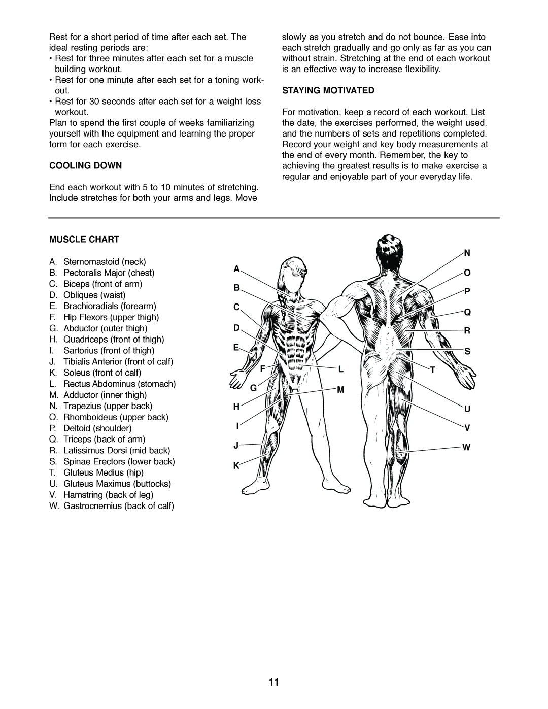 Gold's Gym GGBE24320 manual Cooling Down, Staying Motivated, Muscle Chart 