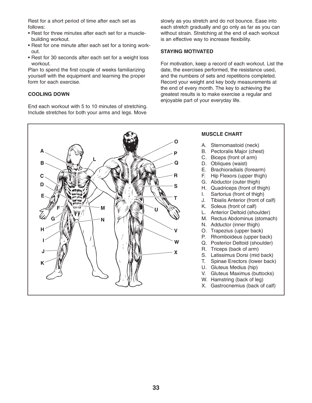 Gold's Gym GGBE6974.1 manual Cooling Down, Staying Motivated, Muscle Chart 