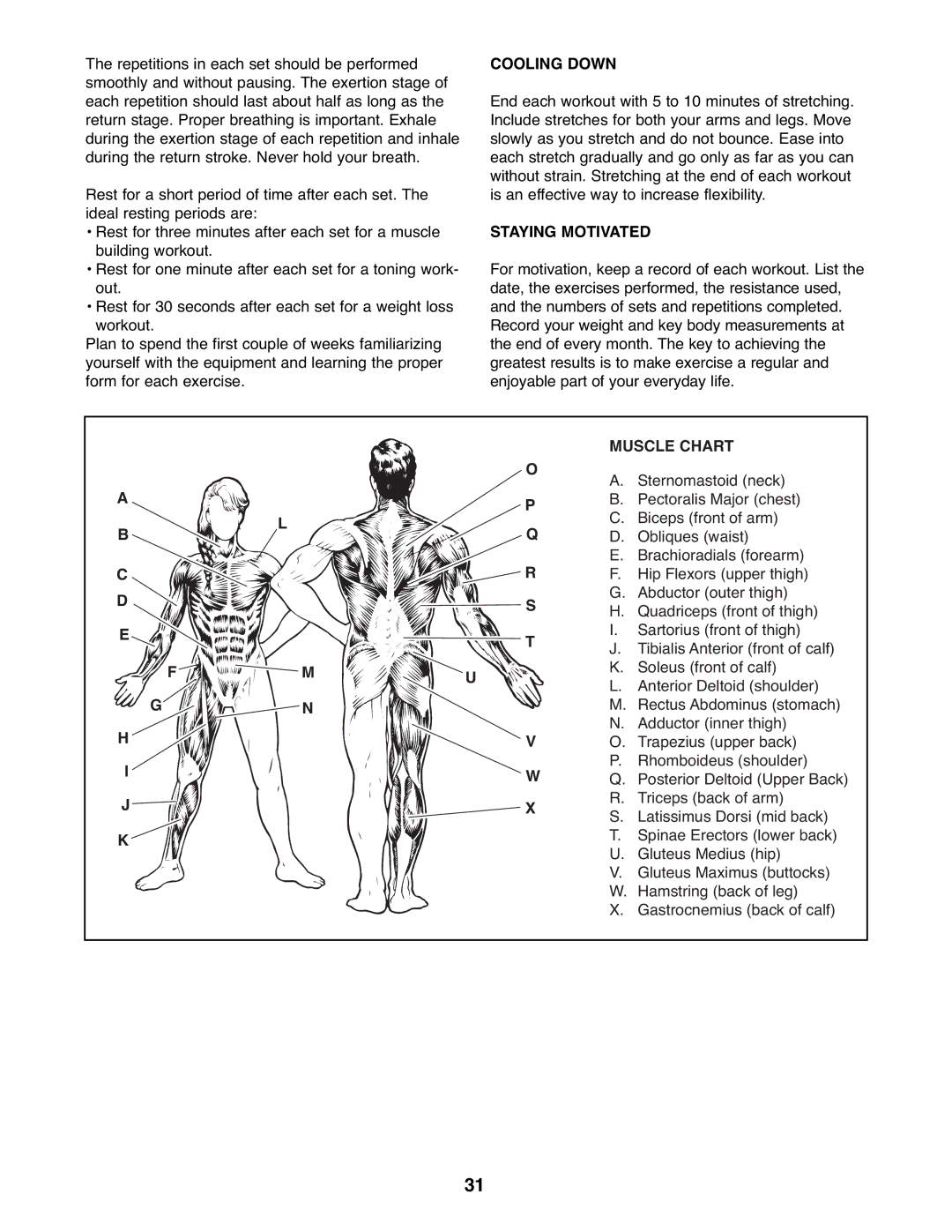 Gold's Gym GGSY3066.1 manual Cooling Down, Staying Motivated 