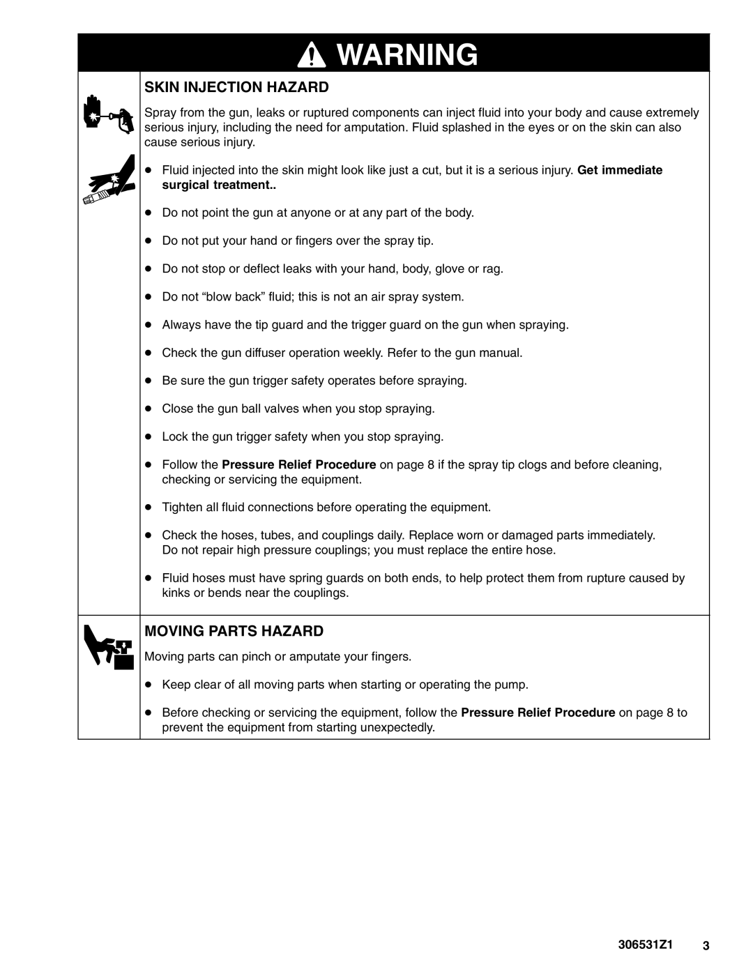 Graco 206699, 206405, 206700 important safety instructions Skin Injection Hazard 