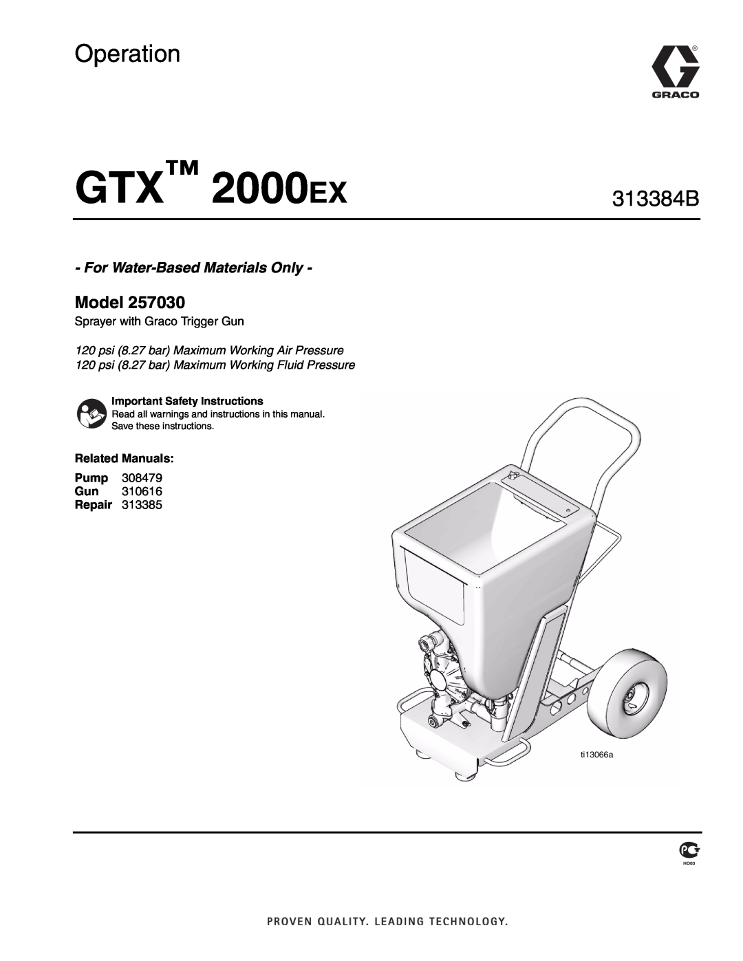 Graco Inc 257030 important safety instructions Related Manuals, Repair, GTX 2000 EX, Operation, 313384B, Model, ti13066a 