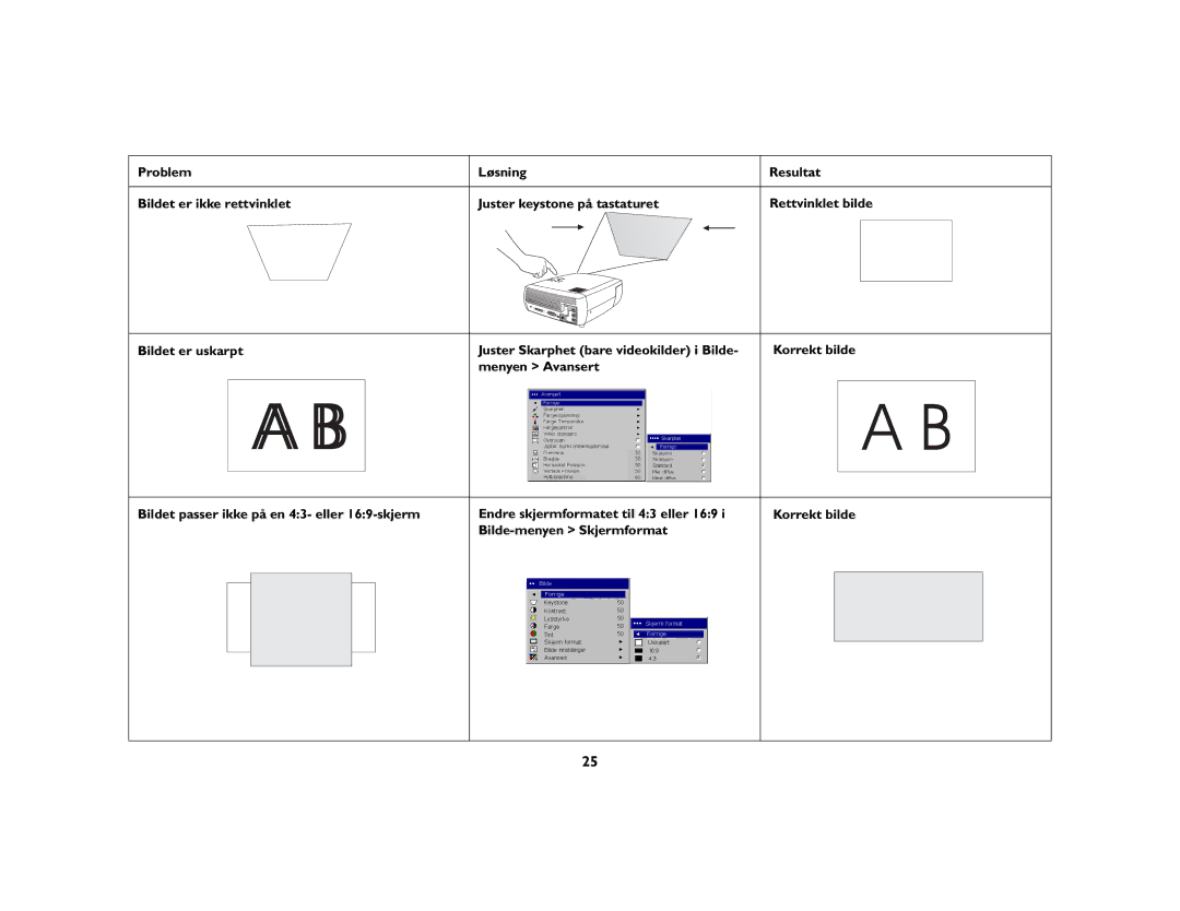 Grundig DLPTM Projector manual 