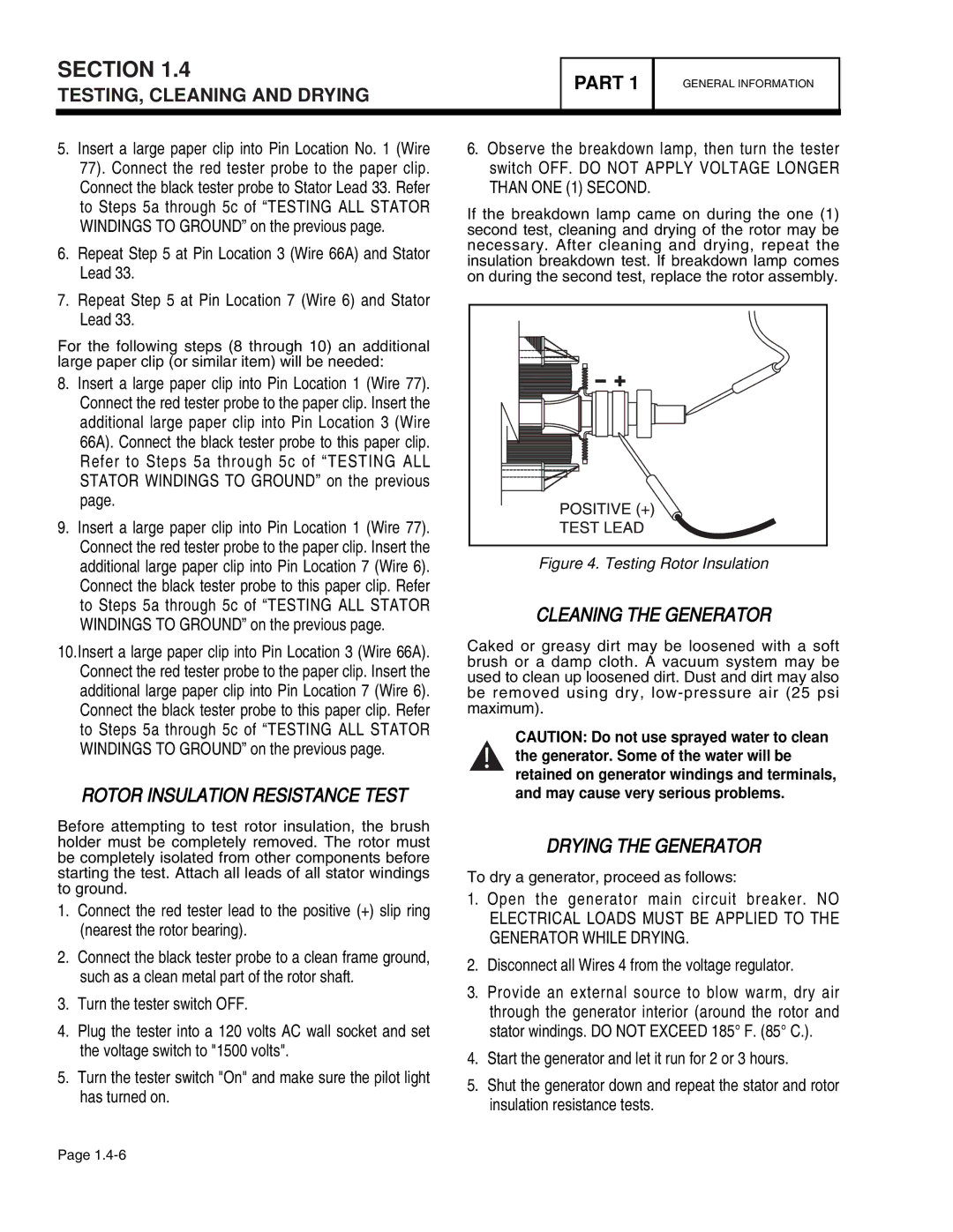 Guardian Technologies 4390, 4456, 4389, 4760 Rotor Insulation Resistance Test, Cleaning the Generator, Drying the Generator 