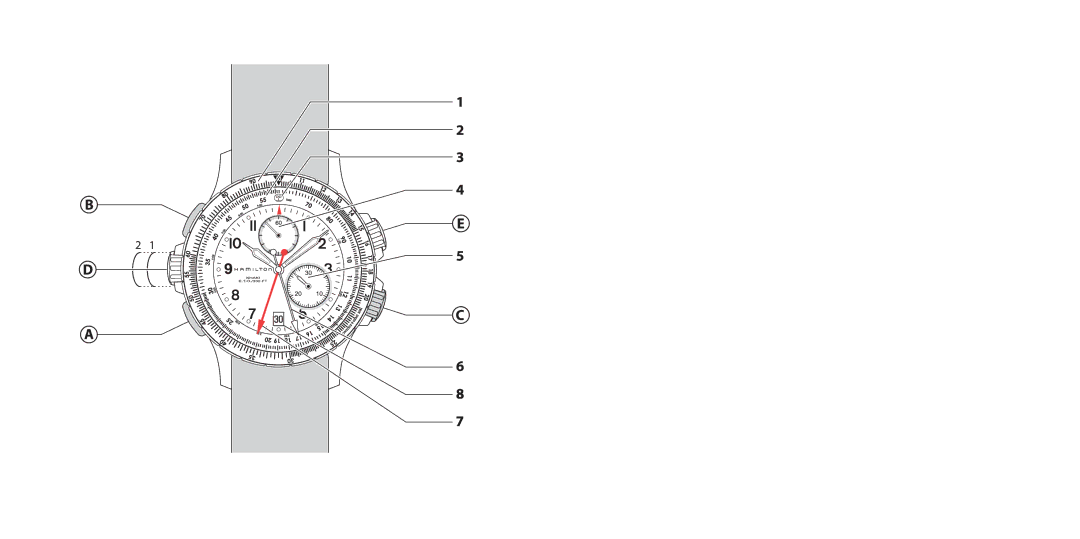 Hamilton Watch 30, 31, 27, 29, 26, 28 manual 