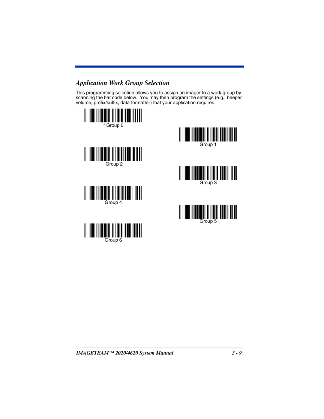 Hand Held Products 2020, 4620 system manual Application Work Group Selection 