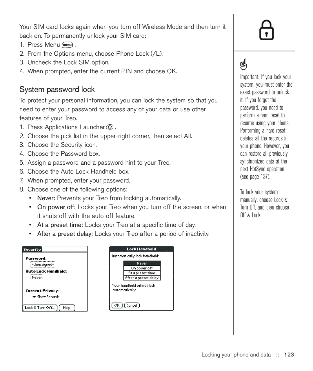 Handspring 600 manual System password lock 