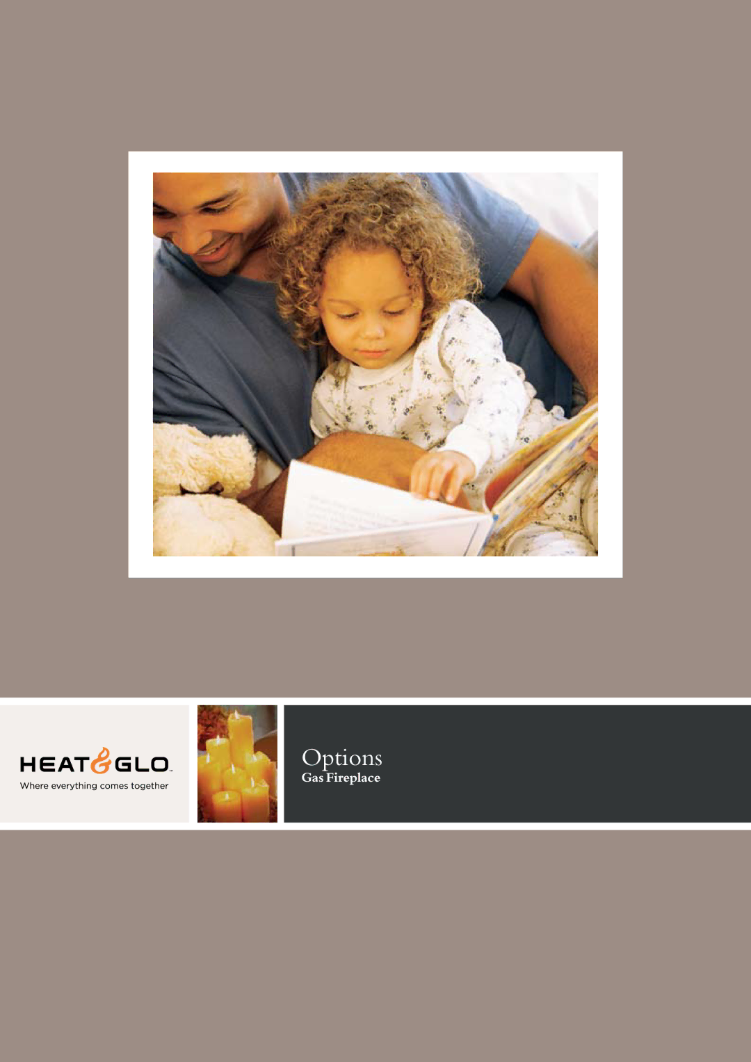 Hearth and Home Technologies Options manual 