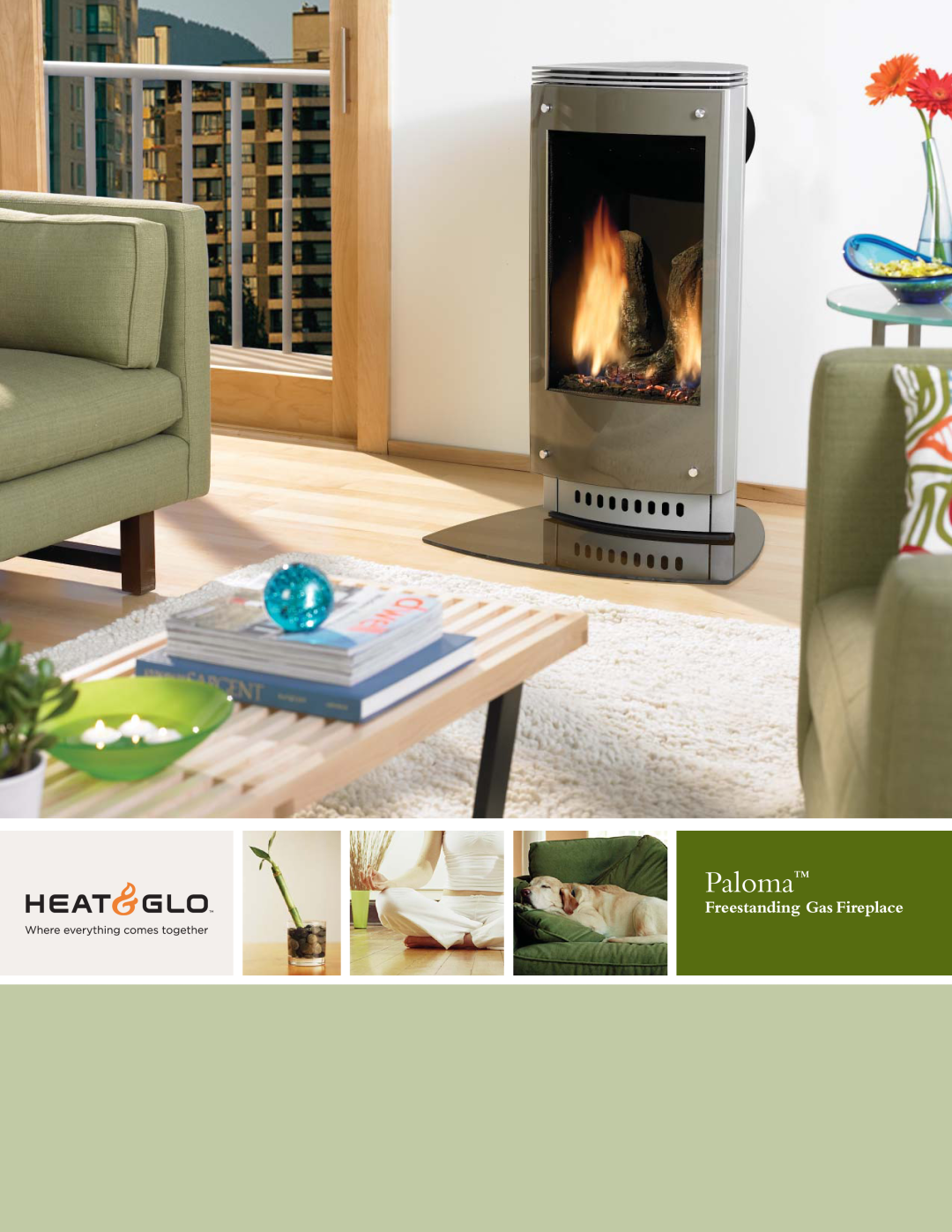 Hearth and Home Technologies Paloma manual Freestanding Gas Fireplace 