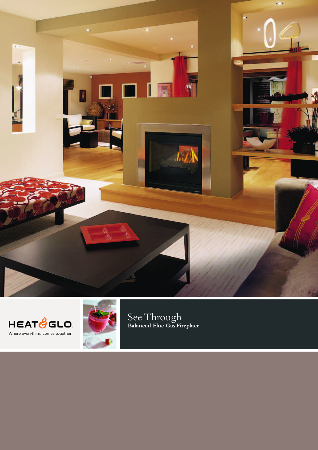 Hearth and Home Technologies See Through manual Balanced Flue Gas Fireplace 