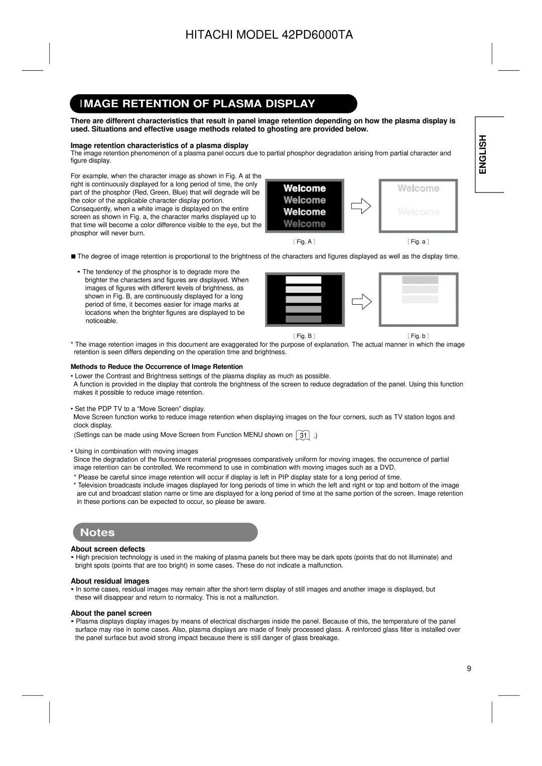 Hitachi 42PD6000TA Image Retention of Plasma Display, About screen defects, About residual images, About the panel screen 