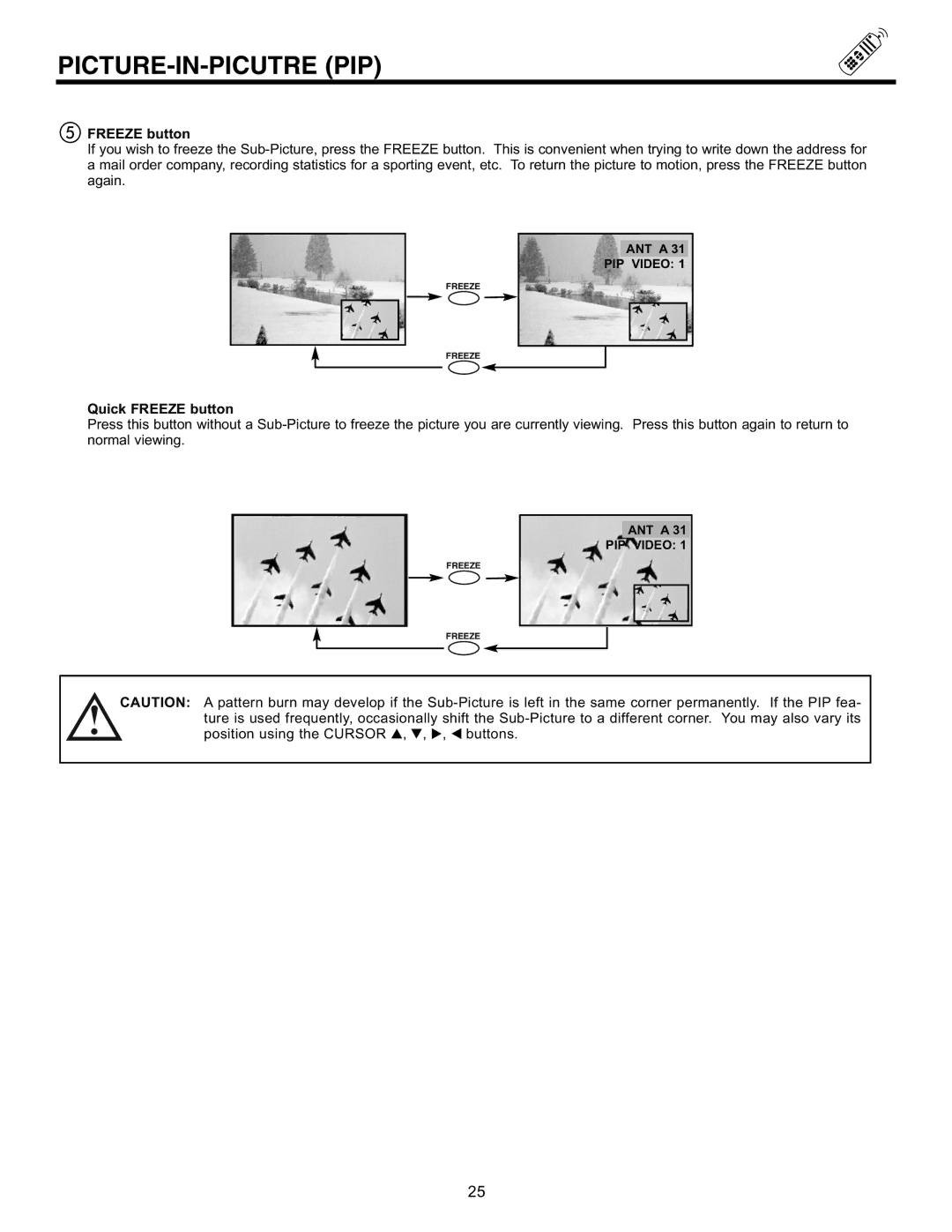 Hitachi 43GX10B, 50DX10B, 50GX30B, 60DX10B important safety instructions Picture-In-Picutre Pip, Quick Freeze button 