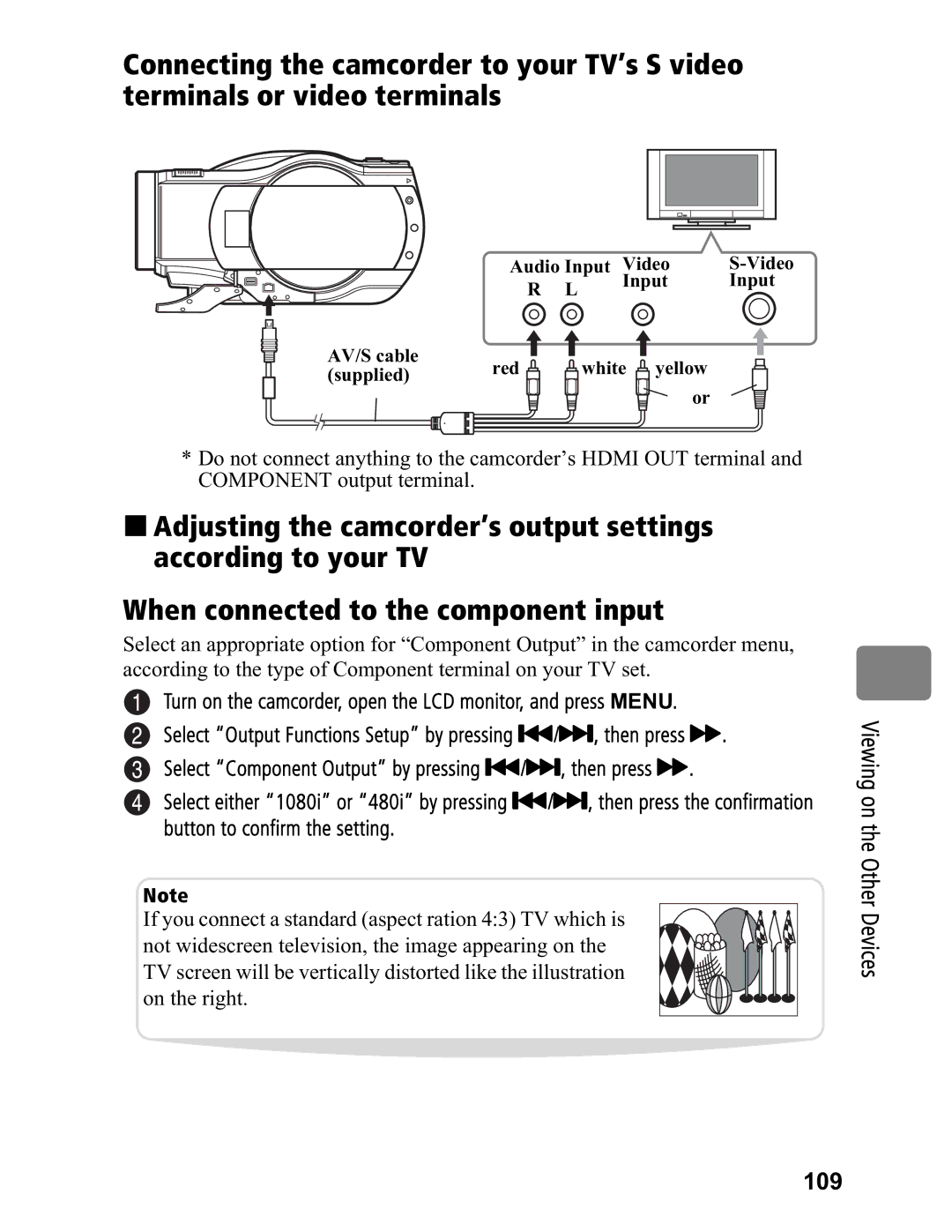 Hitachi DZ-BD7HA, DZ-BD70A Viewing on the Other Devices 109, Audio Input Video AV/S cable Red White yellow Supplied 