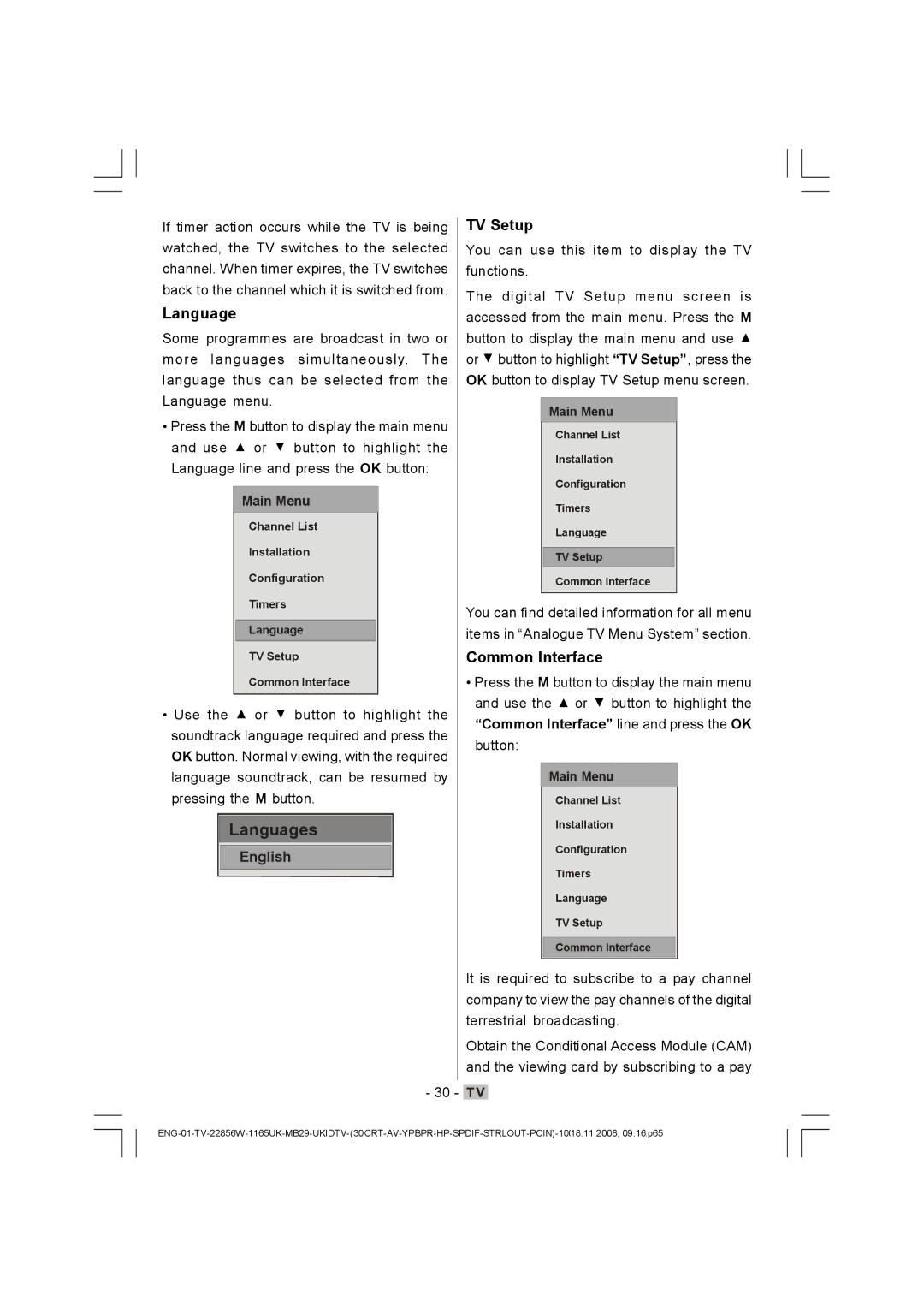 Hitachi L22DP03U manual Language, TV Setup, Common Interface 