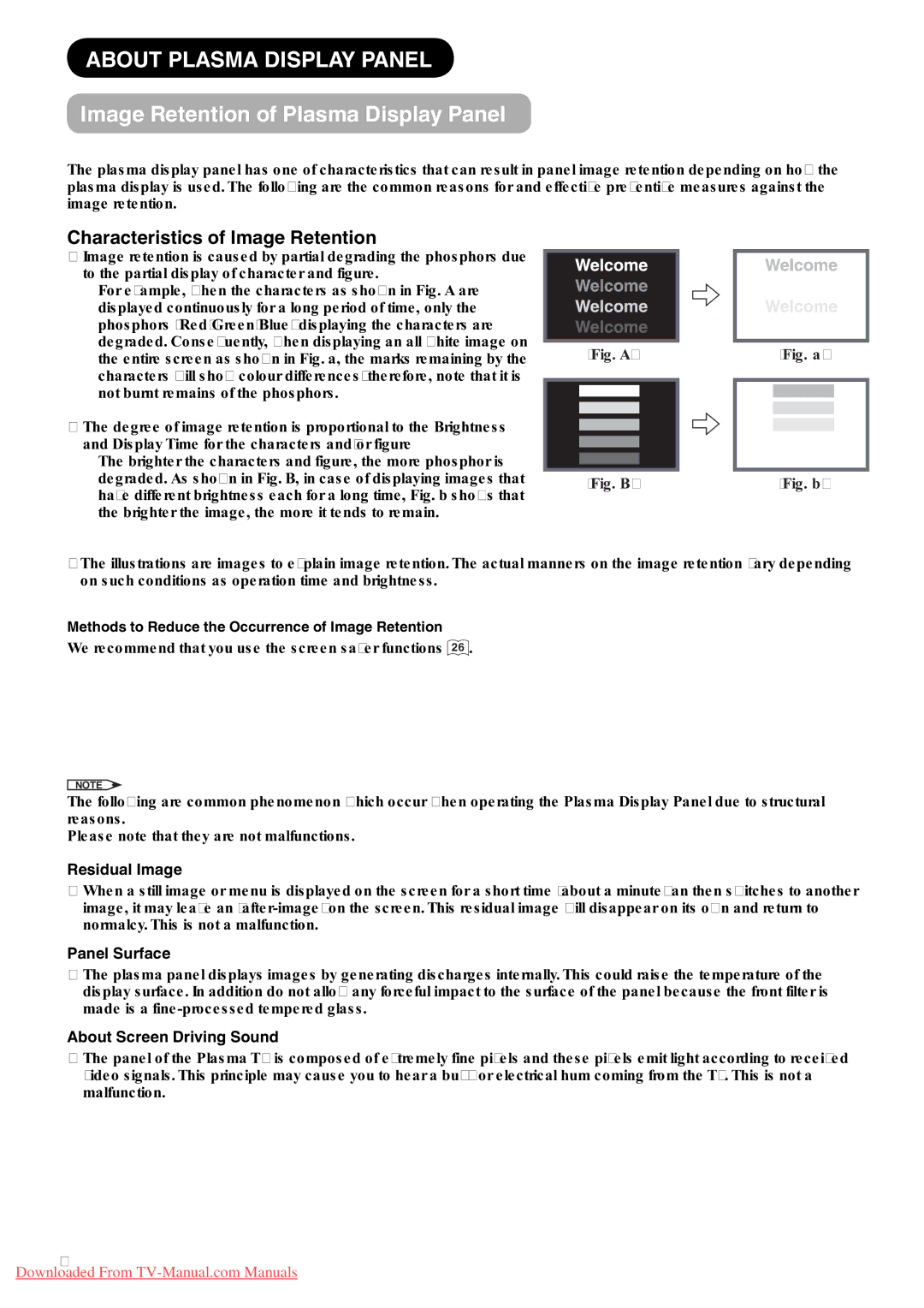 Hitachi P42A01 About Plasma Display Panel, Image Retention of Plasma Display Panel, Characteristics of Image Retention 