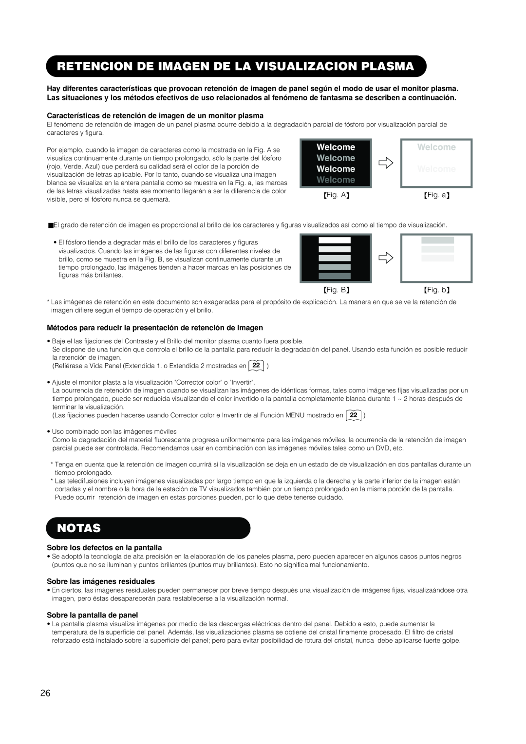 Hitachi PW1A user manual Retencion De Imagen De La Visualizacion Plasma, Notas, Sobre los defectos en la pantalla 