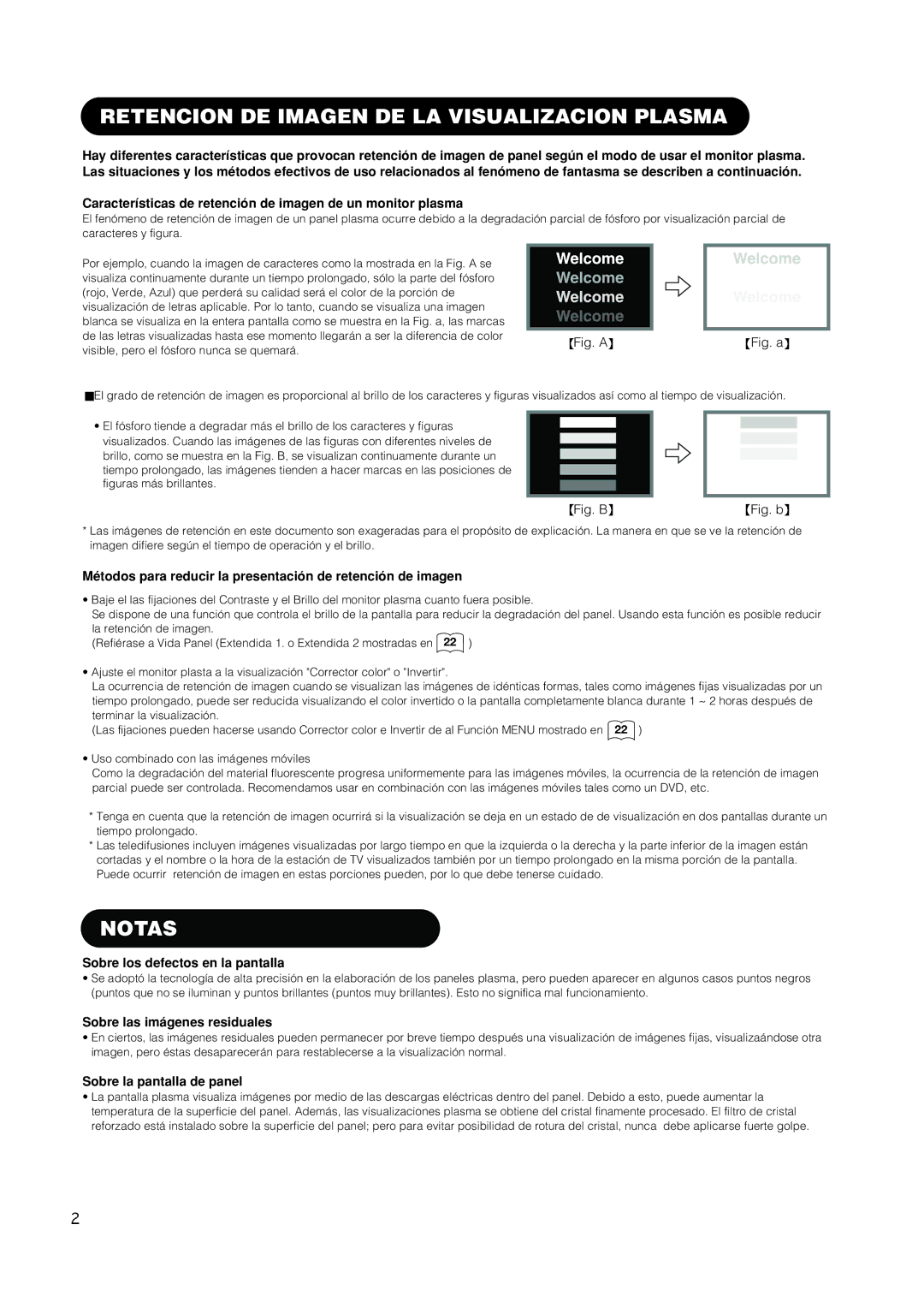 Hitachi PW1A user manual Retencion DE Imagen DE LA Visualizacion Plasma, Notas 