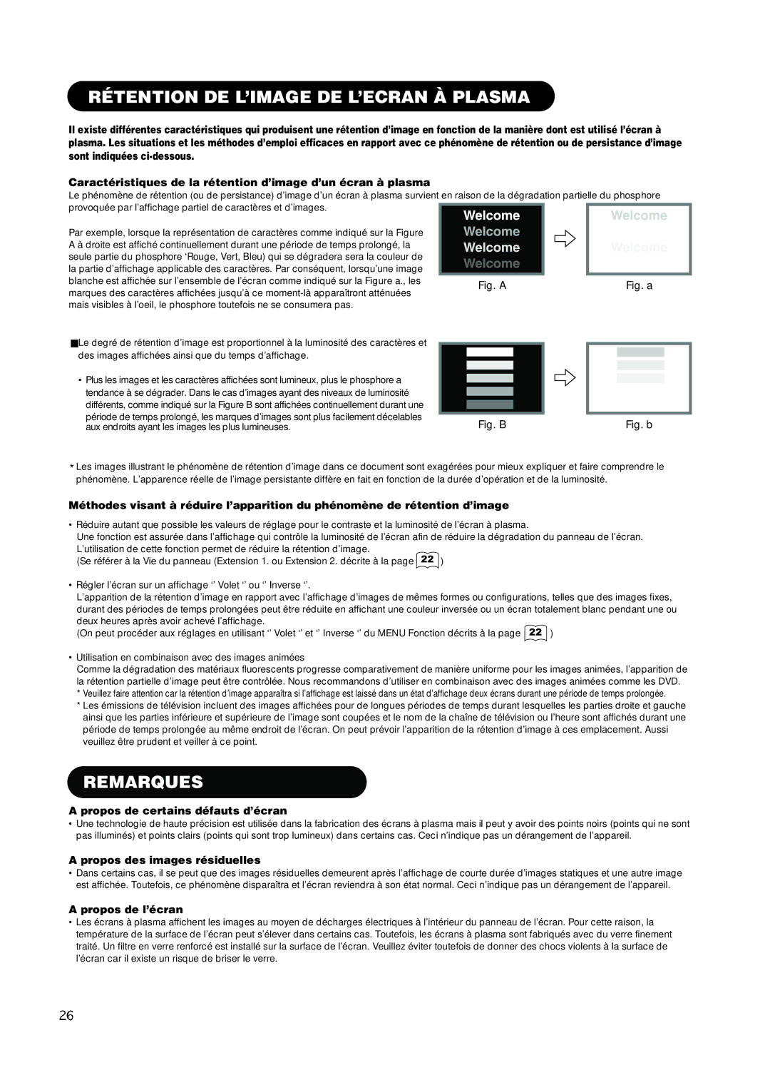 Hitachi PW1A Rétention DE L’IMAGE DE L’ECRAN À Plasma, Remarques, Propos de certains défauts d’écran, Propos de l’écran 