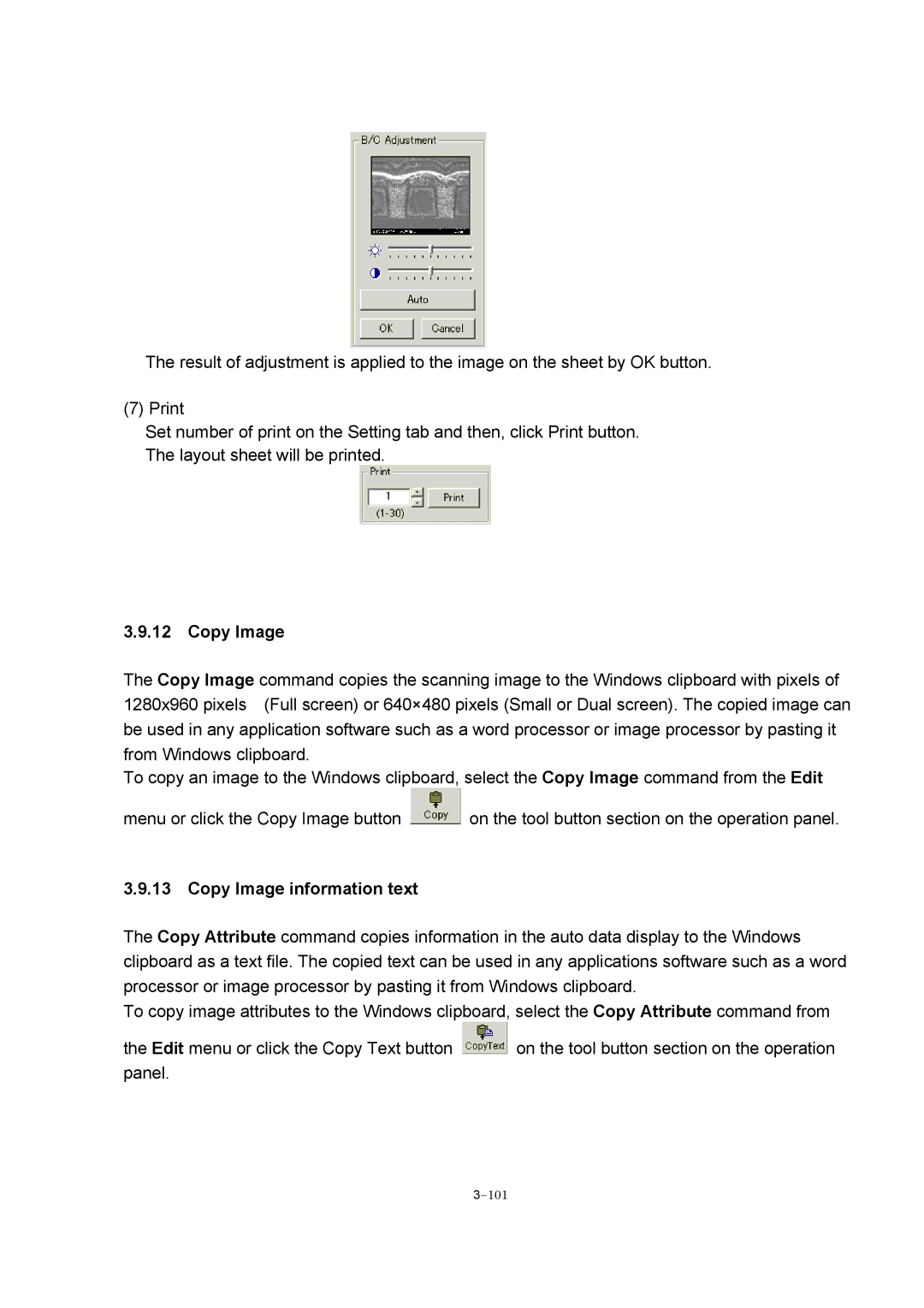 Hitachi S-4800 manual Copy Image information text 