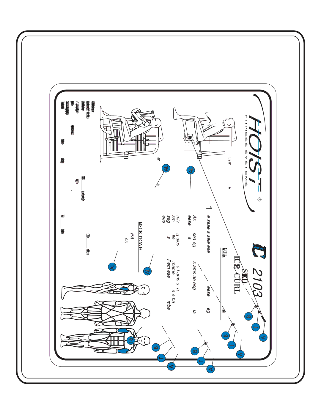 Hoist Fitness CL-2103 owner manual Hoist 