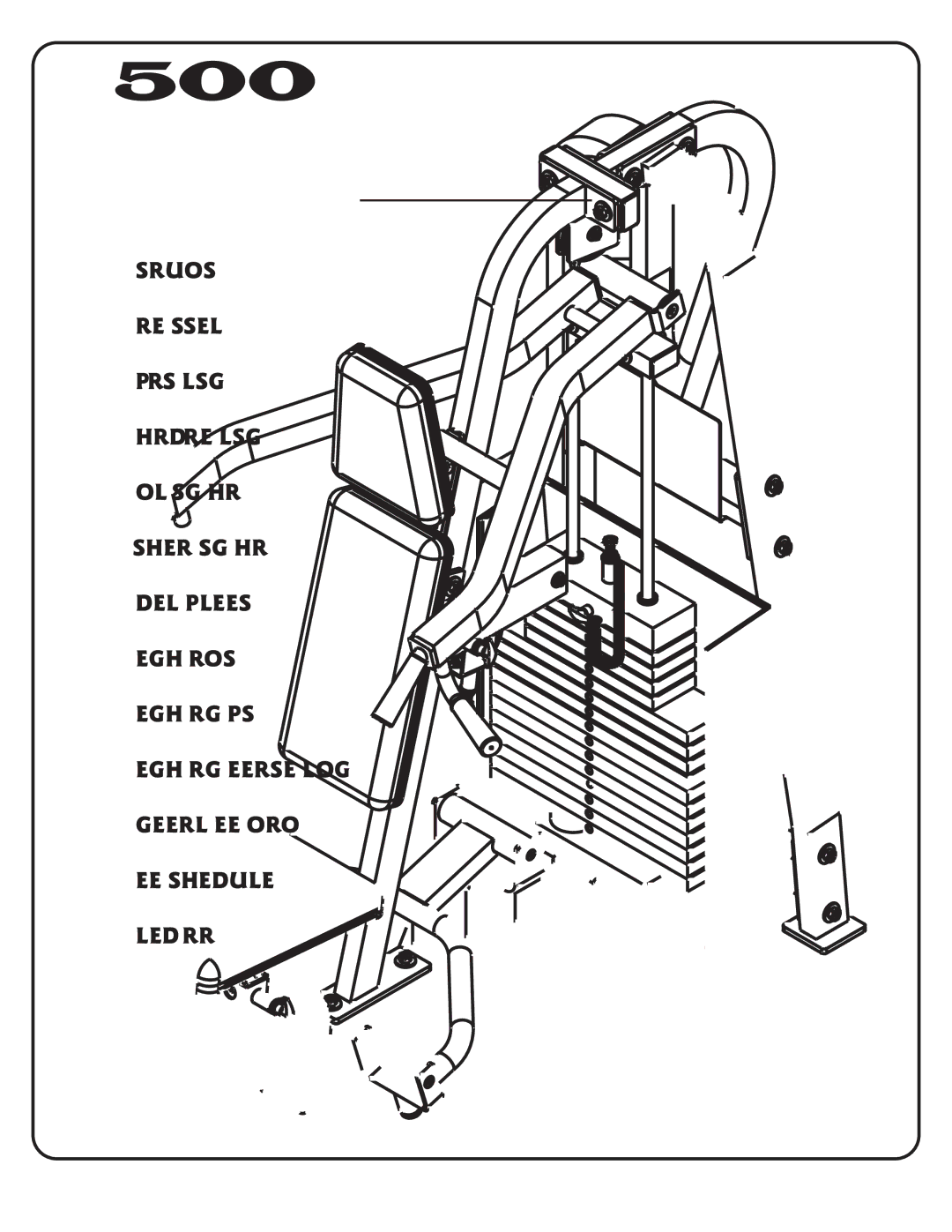 Hoist Fitness dual500 manual D500 