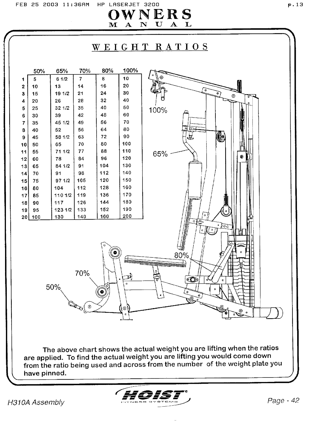 Hoist Fitness H310A manual 