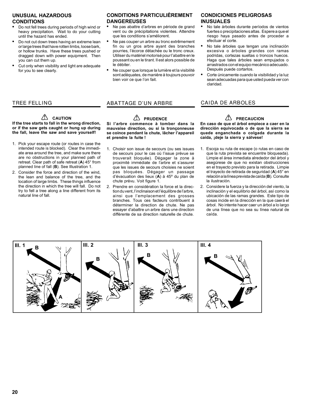 Homelite ut 10910 Unusual Hazardous Conditions, Conditions Particulièrement Dangereuses, Condiciones Peligrosas Inusuales 