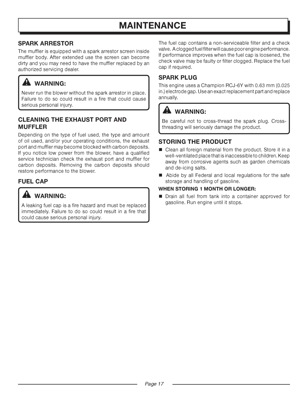 Homelite UT08544, UT08546 Spark Arrestor, Cleaning the Exhaust Port and Muffler, Fuel CAP, Spark Plug, Storing the Product 