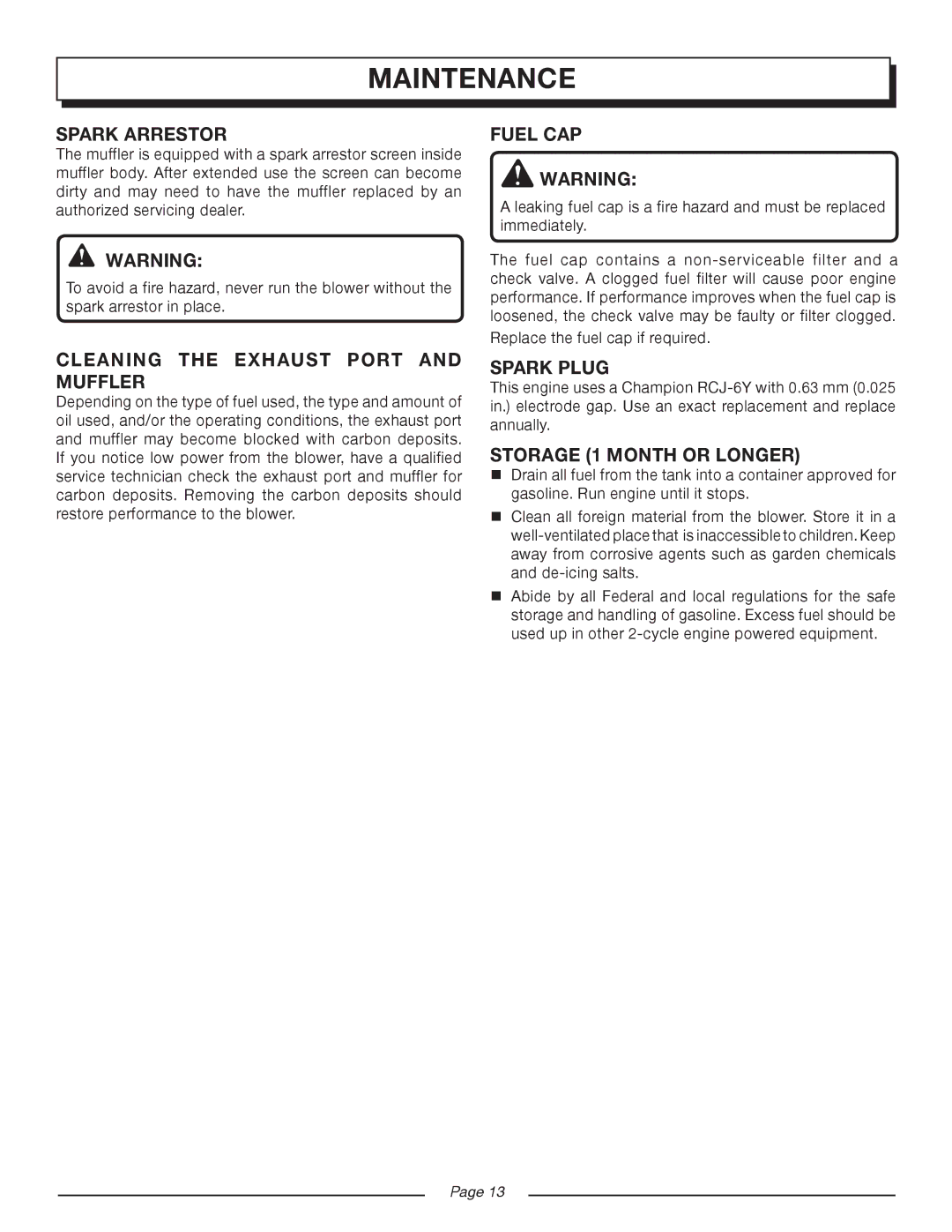 Homelite UT08934D Spark Arrestor, Cleaning the Exhaust Port and Muffler, Fuel CAP, Spark Plug, Storage 1 Month or Longer 