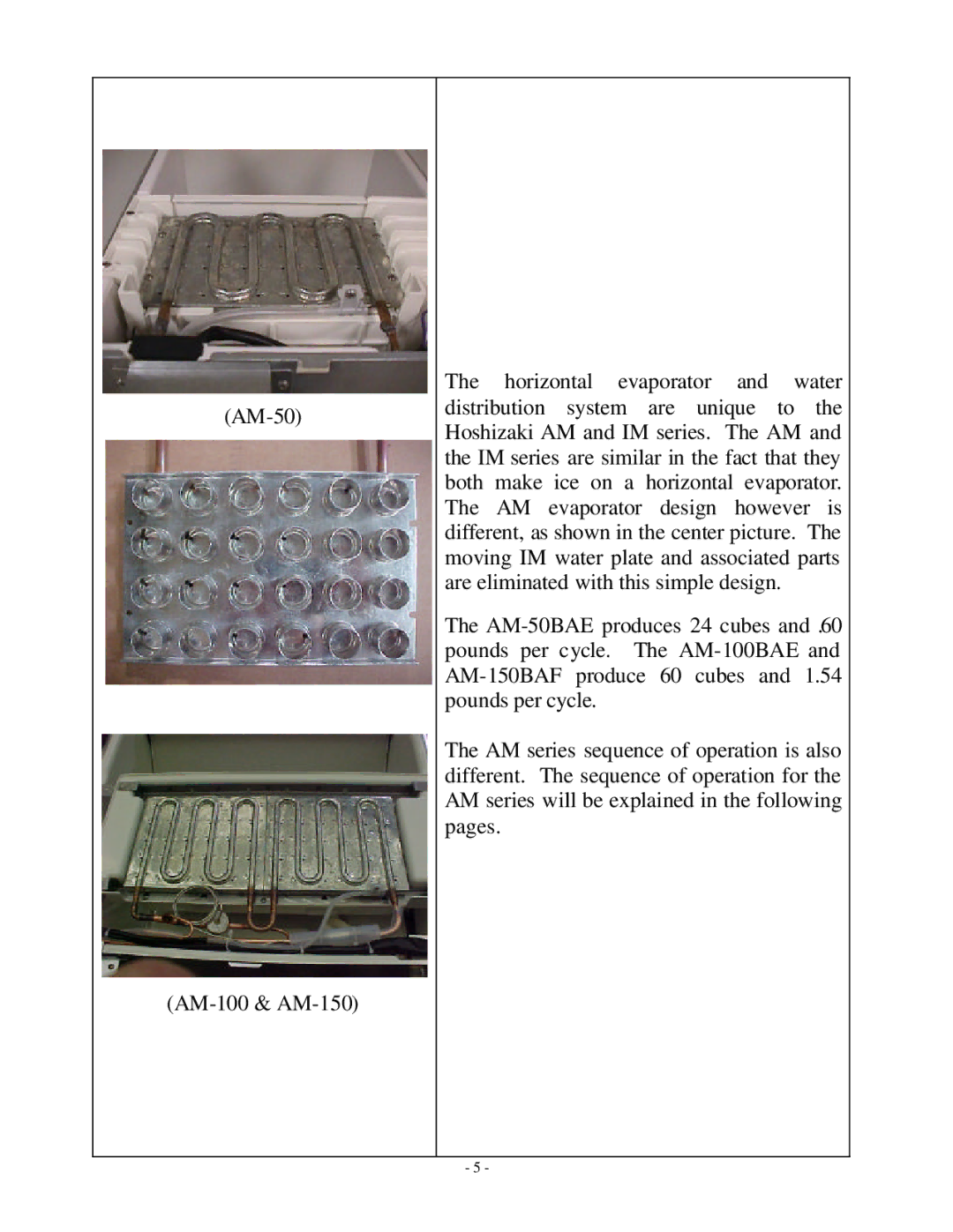 Hoshizaki AM-50BAE manual 