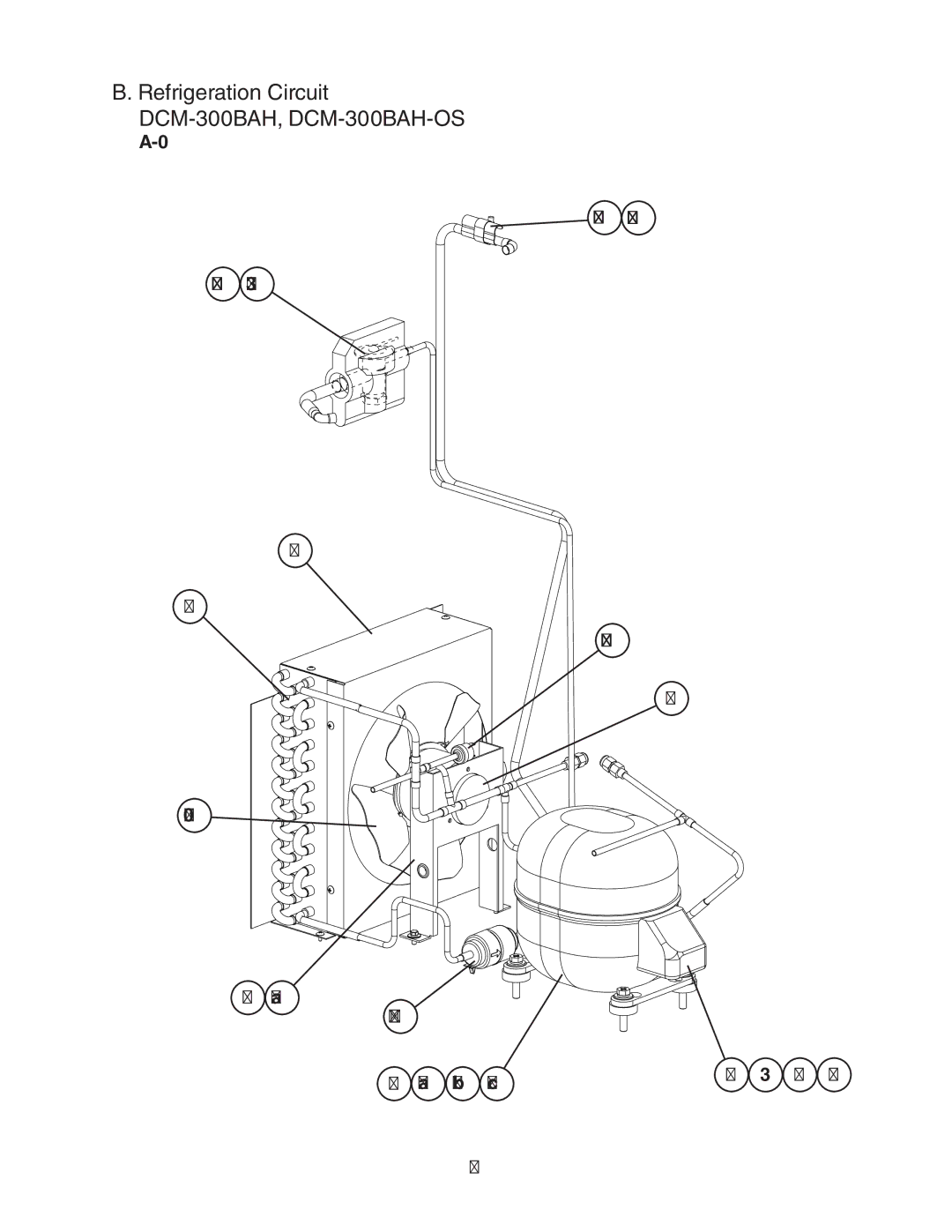 Hoshizaki manual Refrigeration Circuit DCM-300BAH, DCM-300BAH-OS 