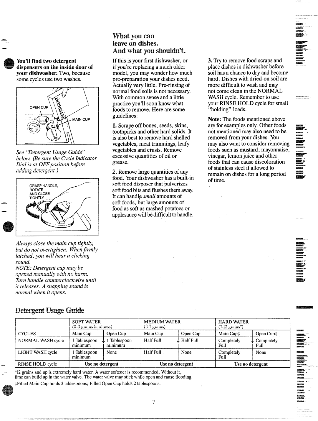 Hotpoint HDA487 manual Dete~ent UsageGuide, WIIatyoucan leaveon dishes 