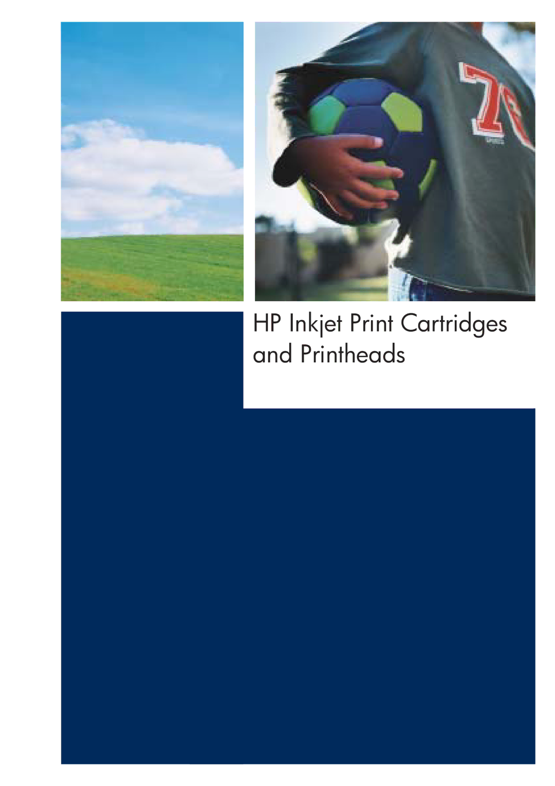 HP 200T manual HP Inkjet Print Cartridges and Printheads 