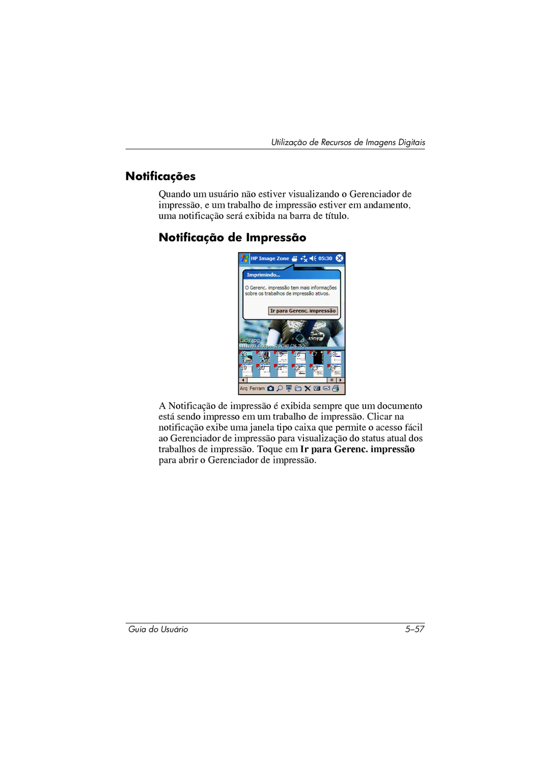 HP 364351-202 manual Notificações, Notificação de Impressão 