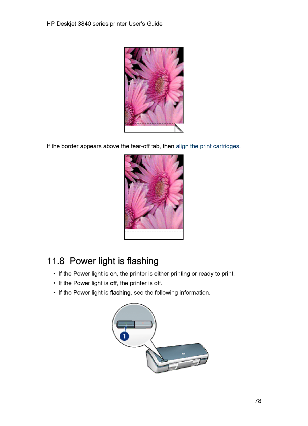 HP 3840 manual Power light is flashing 