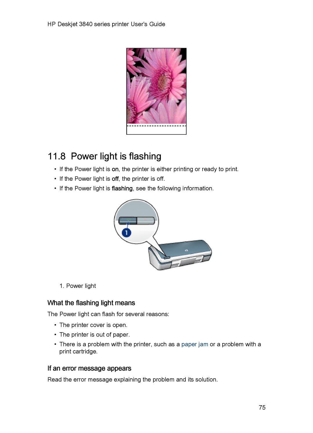 HP 3840 manual Power light is flashing, What the flashing light means, If an error message appears 