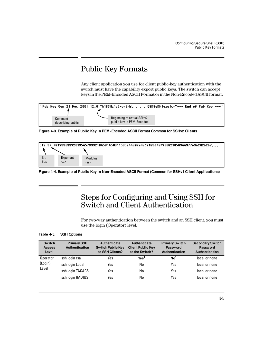 HP 4100gl manual Public Key Formats, SSH Options 