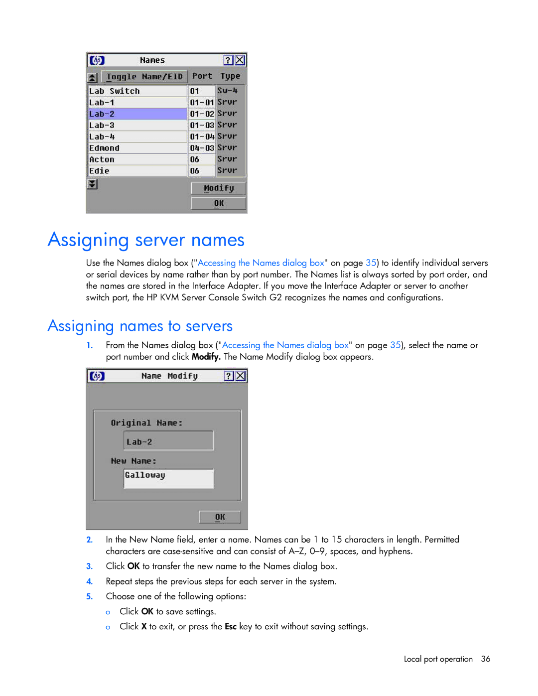 HP 531671-001 manual Assigning server names, Assigning names to servers 