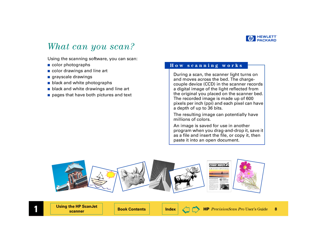 HP 6200C manual What can you scan?, W s c a n n i n g w o r k s 