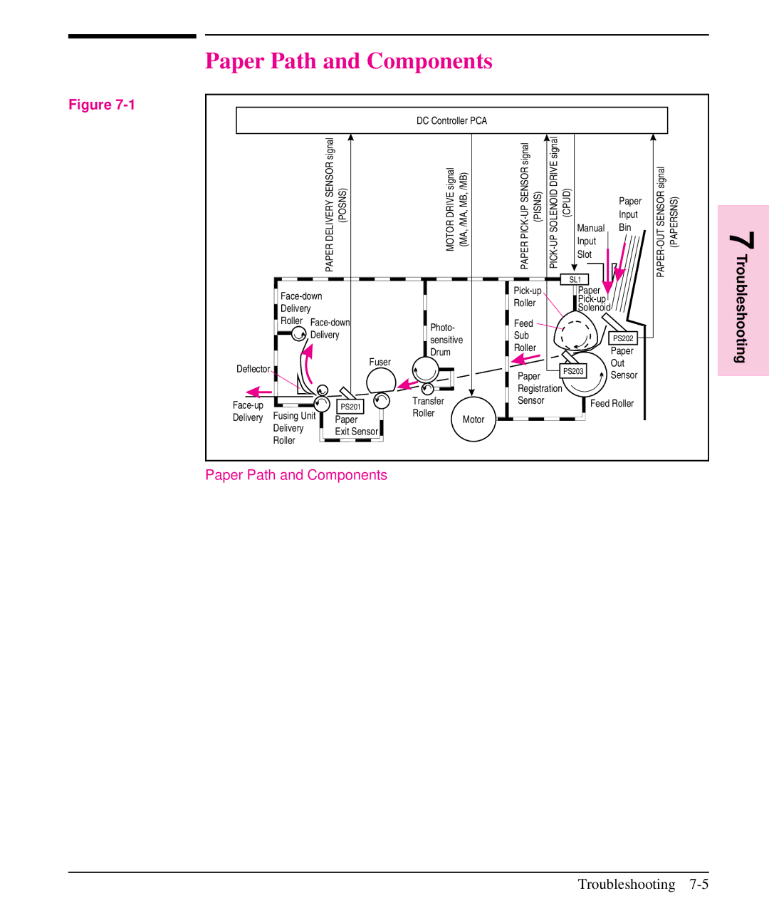 HP 6L, 5L manual Paper Path and Components 