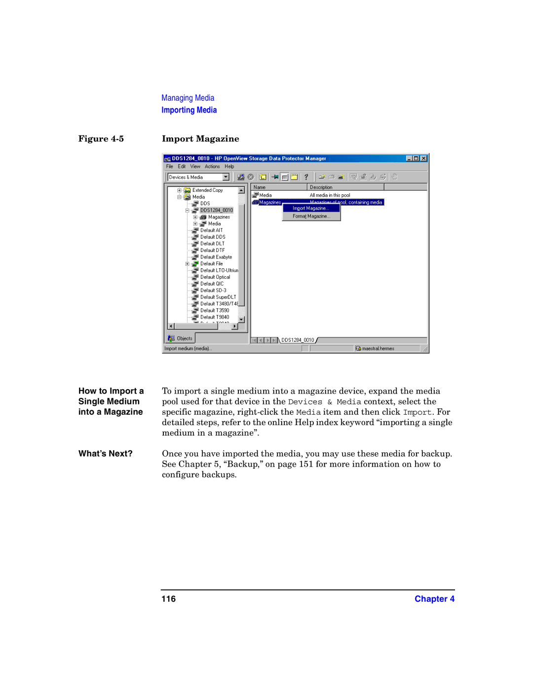 HP B6960-90078 manual Import Magazine, How to Import a Single Medium into a Magazine What’s Next?, 116 