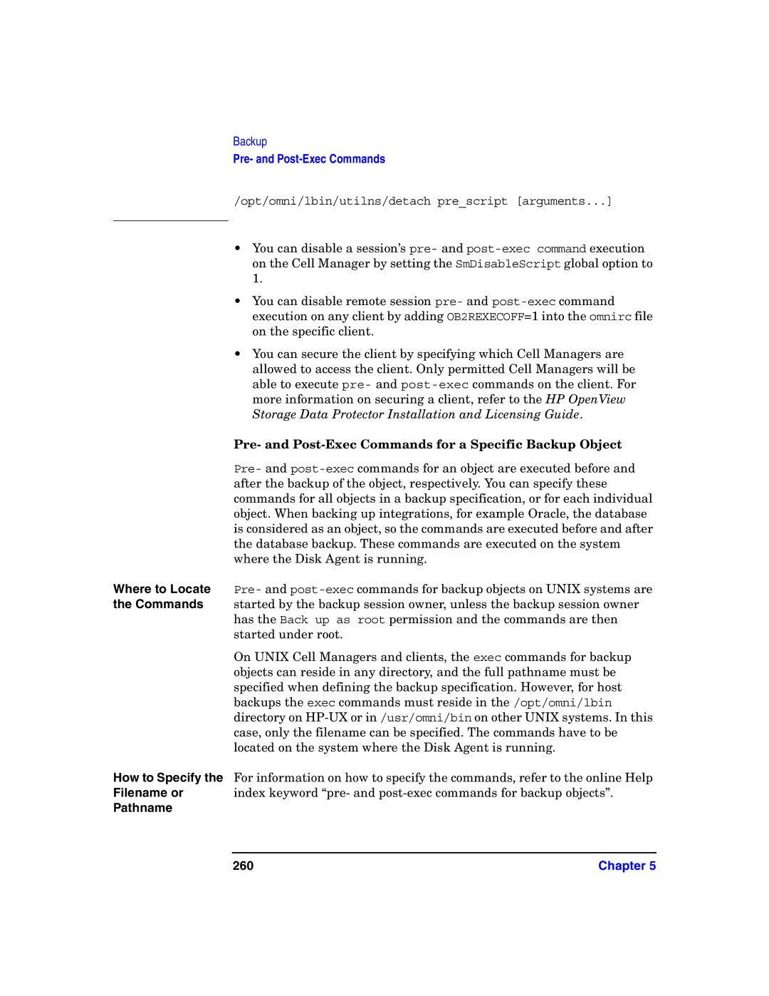 HP B6960-90078 manual Pre- and Post-Exec Commands for a Specific Backup Object, Pathname 260 