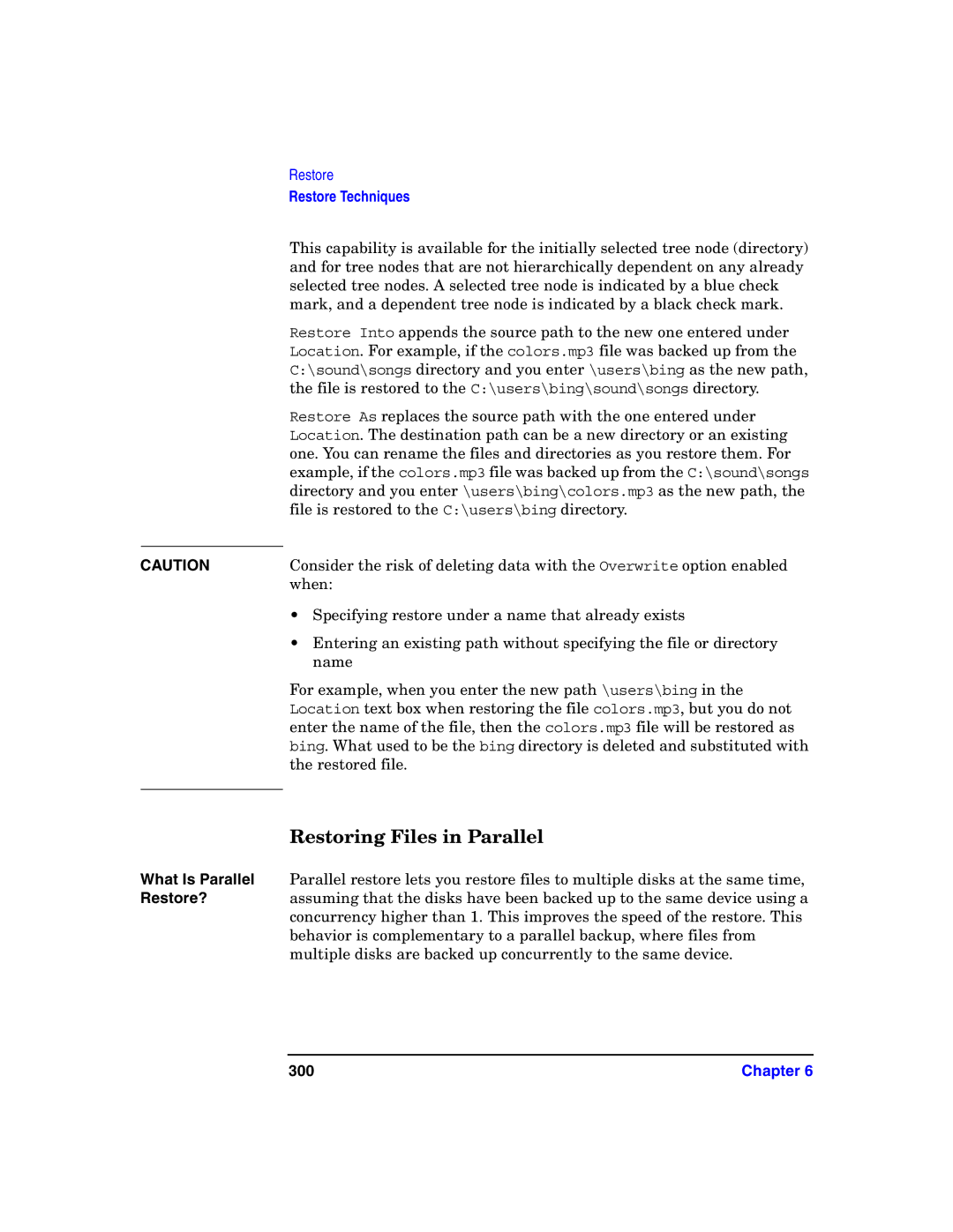 HP B6960-90078 manual Restoring Files in Parallel, 300 