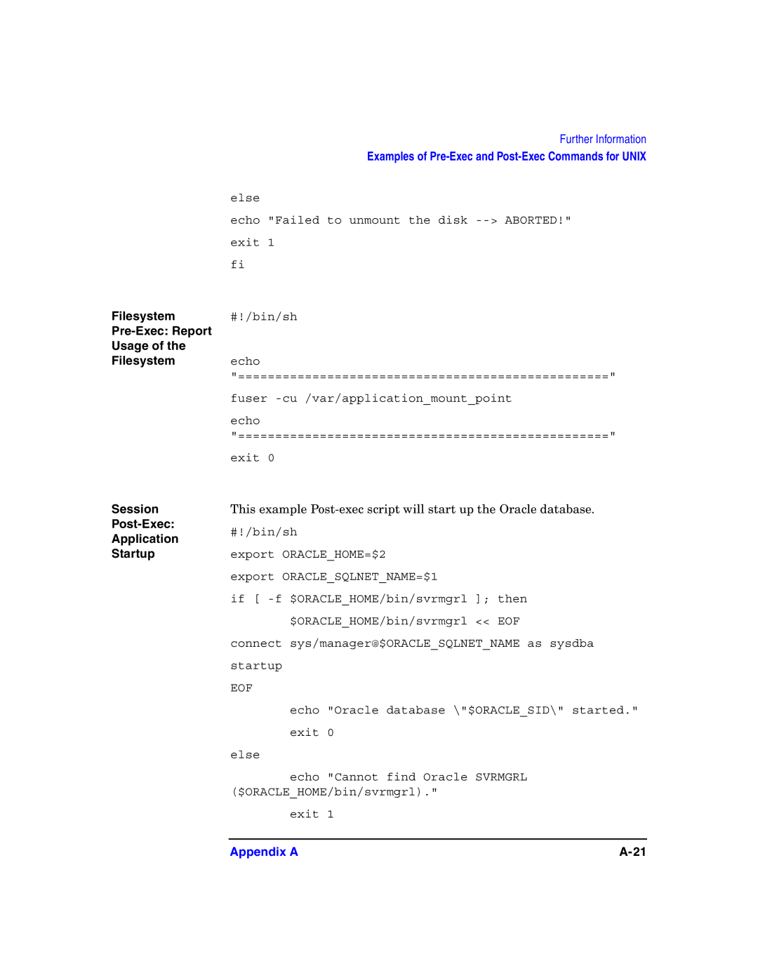 HP B6960-90078 manual Filesystem #!/bin/sh Pre-Exec Report Usage, Session Post-Exec Application Startup 