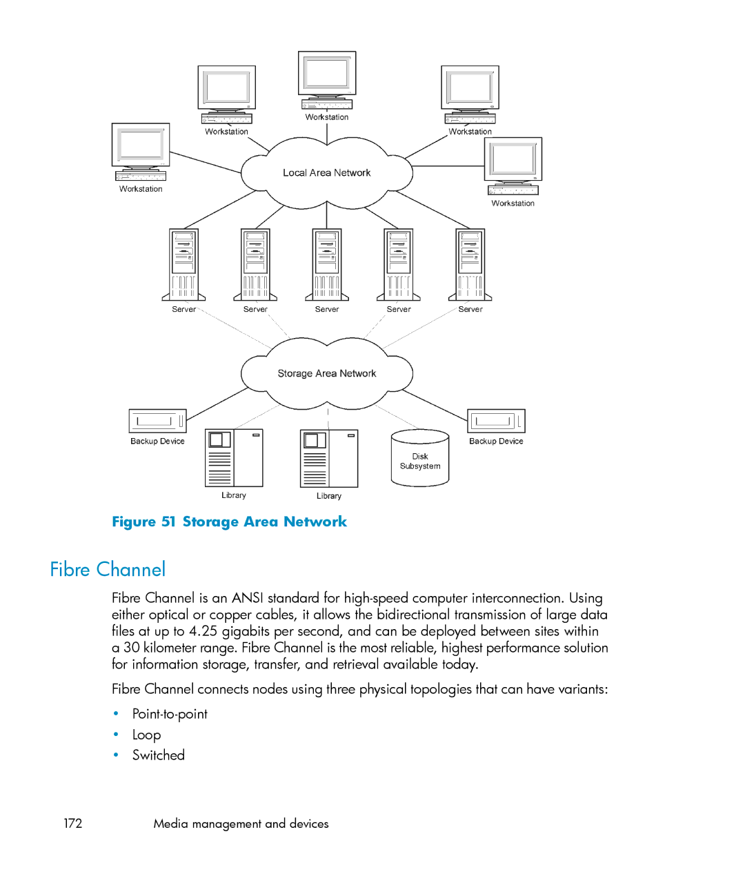 HP B6960-96035 manual Fibre Channel, Storage Area Network 