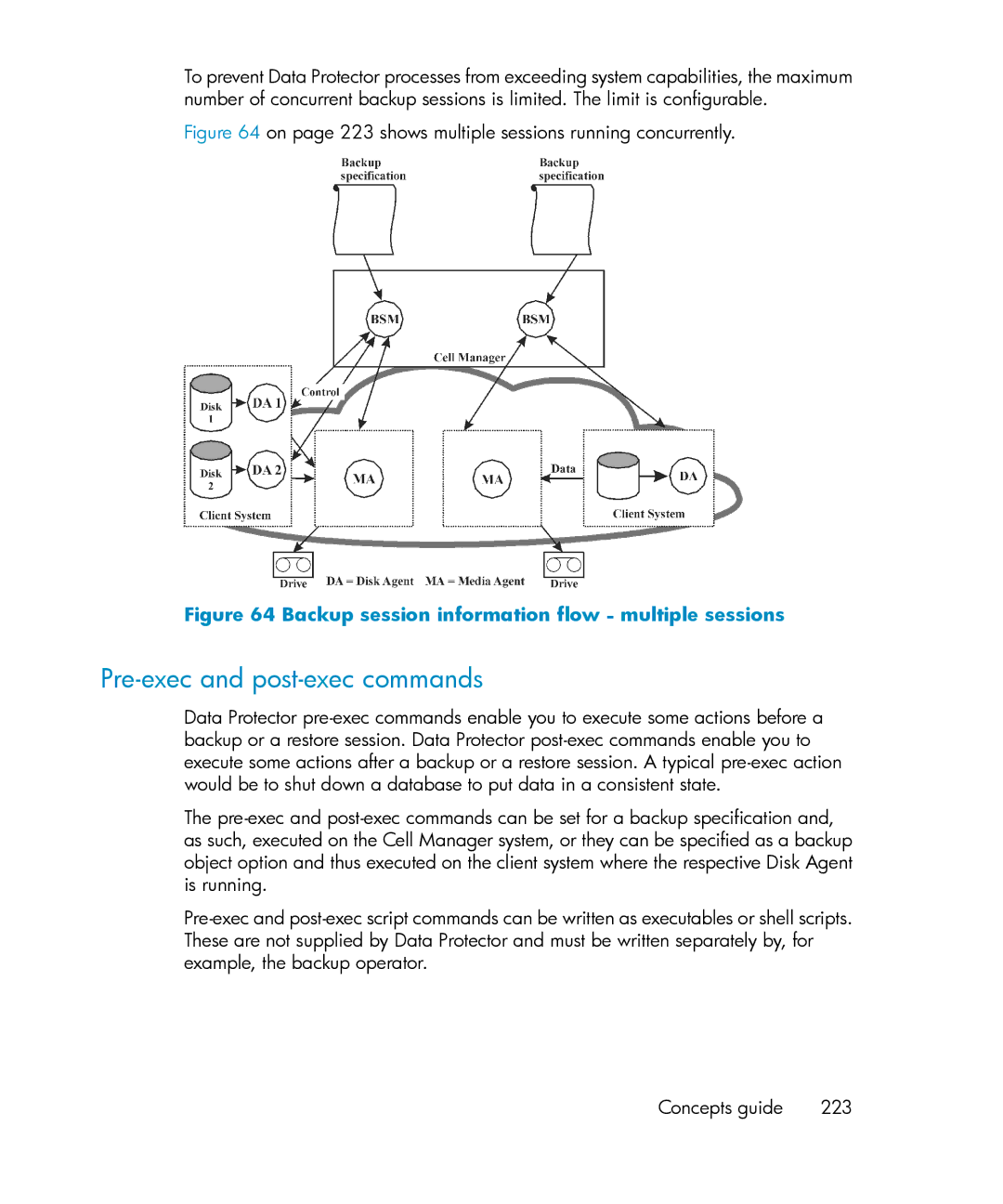 HP B6960-96035 manual Pre-exec and post-exec commands, On page 223 shows multiple sessions running concurrently 